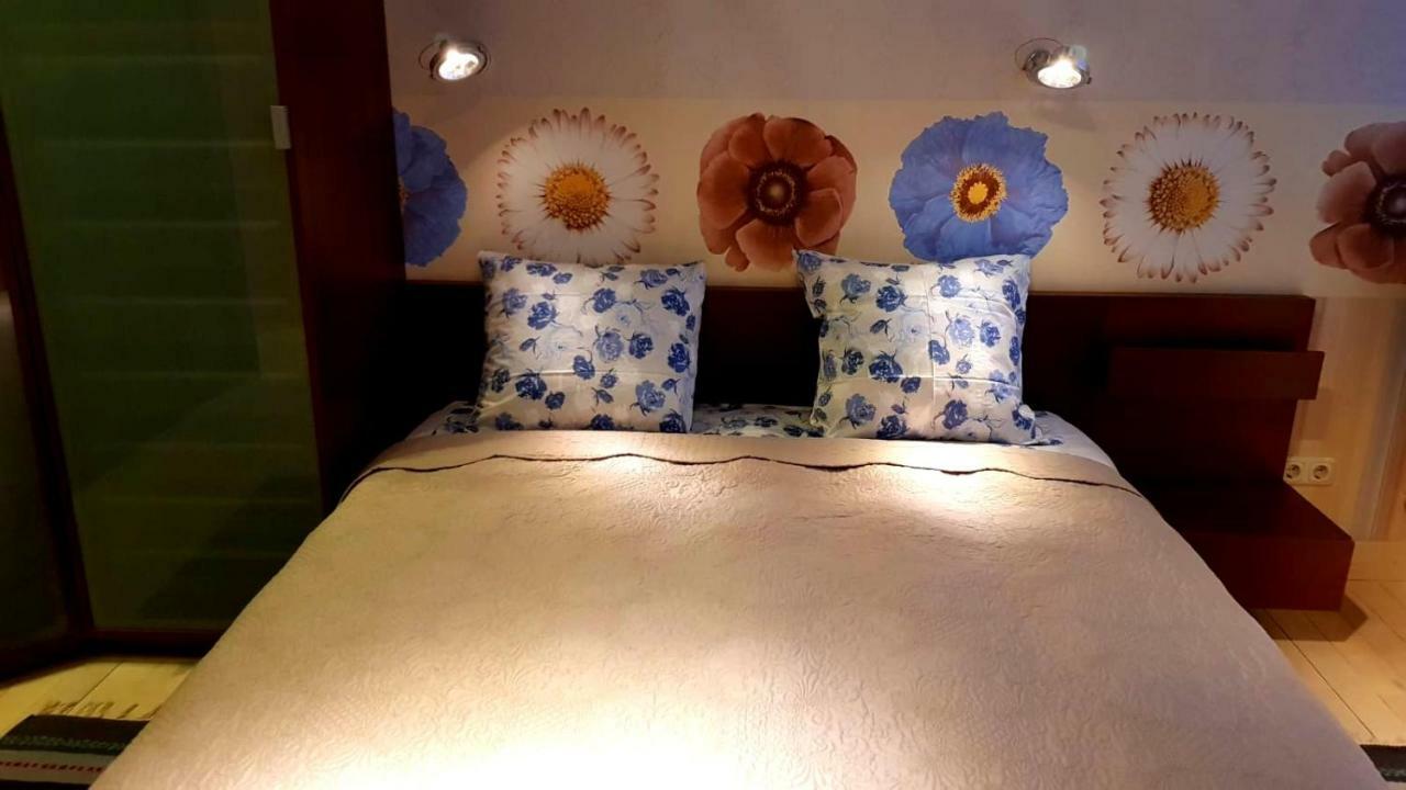 شقة Fuksija House داوُجافبيلسْ المظهر الخارجي الصورة